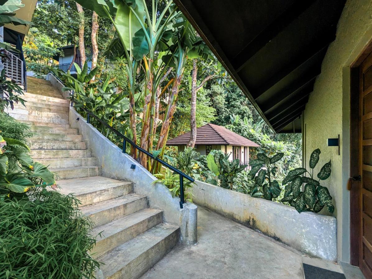 Perch El Nido'S Seaview Villas Overlooking Marimegmeg Экстерьер фото