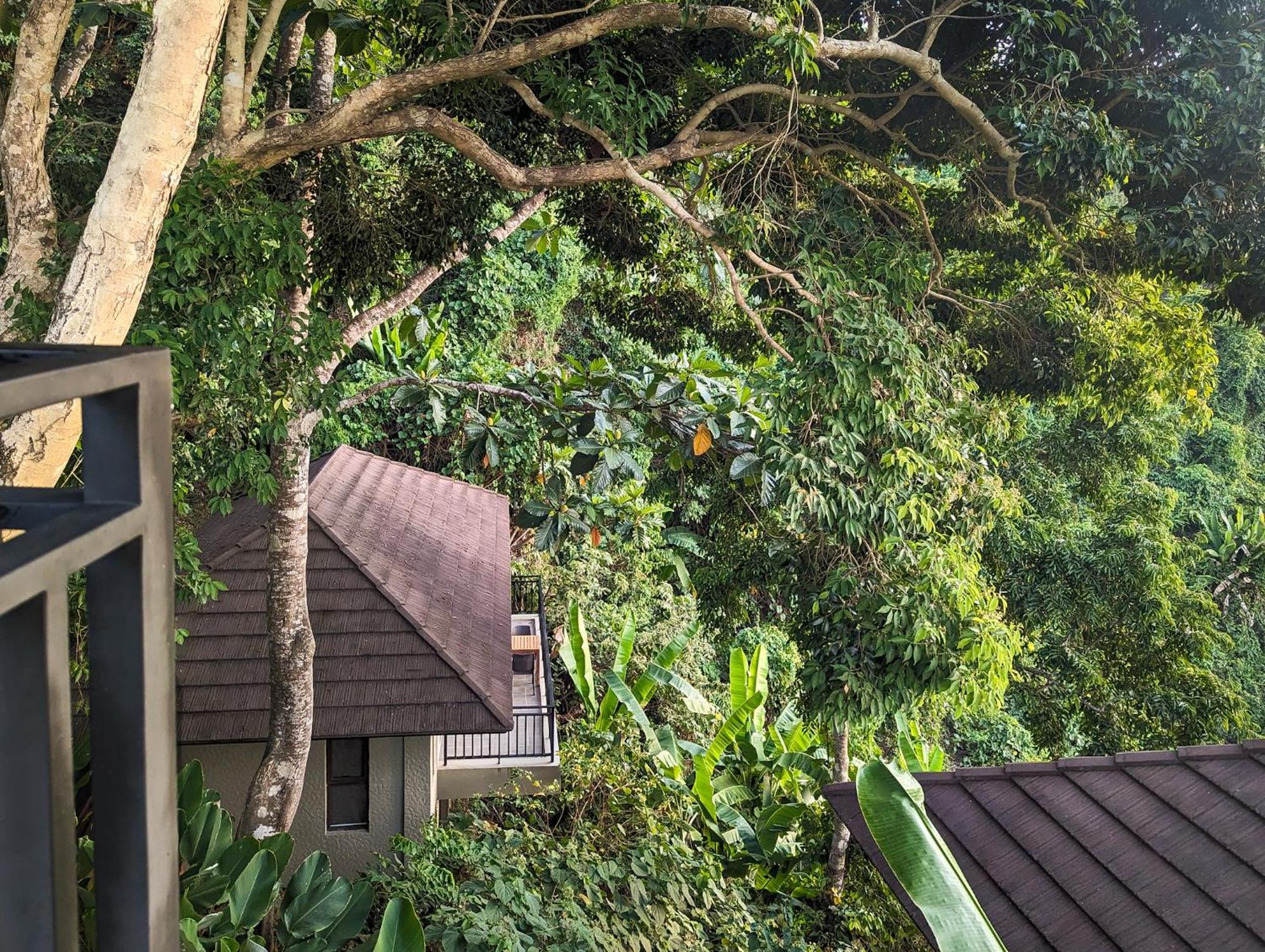 Perch El Nido'S Seaview Villas Overlooking Marimegmeg Экстерьер фото